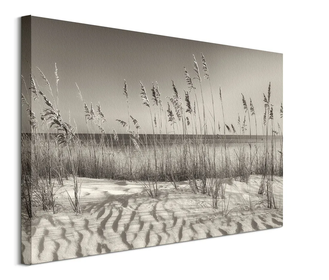 dune-grass-obraz-na-plotnie-80x60-cm