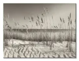 dune-grass-obraz-na-plotnie-80x60-cm-stan-nowy