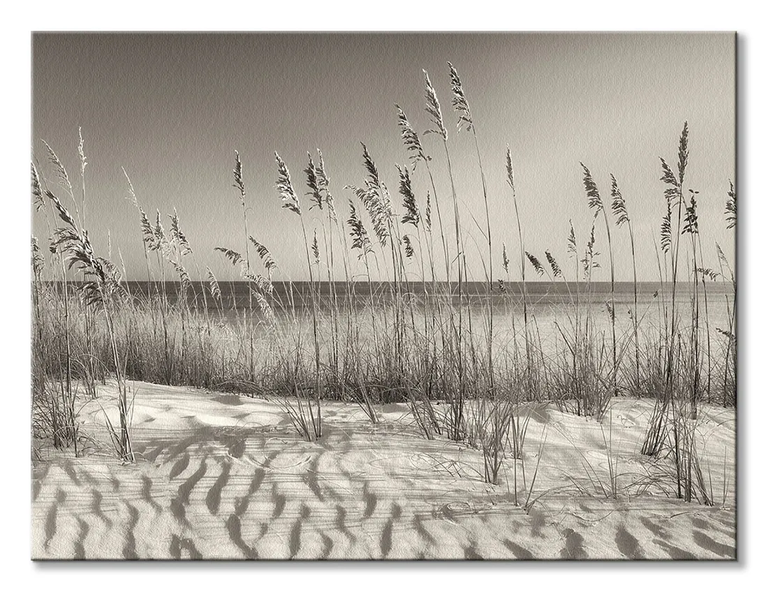 dune-grass-obraz-na-plotnie-80x60-cm