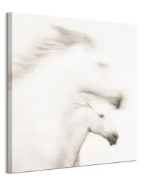gentle-obraz-na-plotnie-85x85-cm