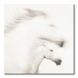 gentle-obraz-na-plotnie-85x85-cm-stan-nowy