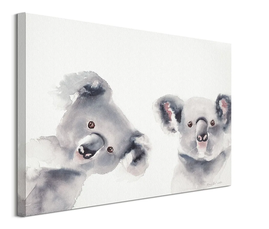 misie-koala-obraz-na-plotnie-80x60-cm