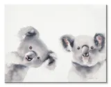 misie-koala-obraz-na-plotnie-80x60-cm-stan-nowy