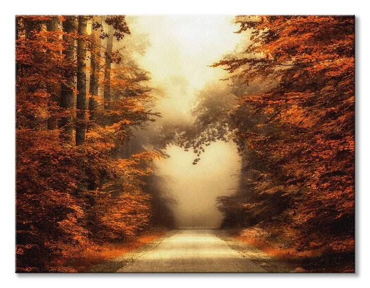 fall-in-love-obraz-na-plotnie-80x60-cm-stan-nowy