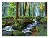 lesny-wodospad-obraz-na-plotnie-80x60-cm-stan-nowy