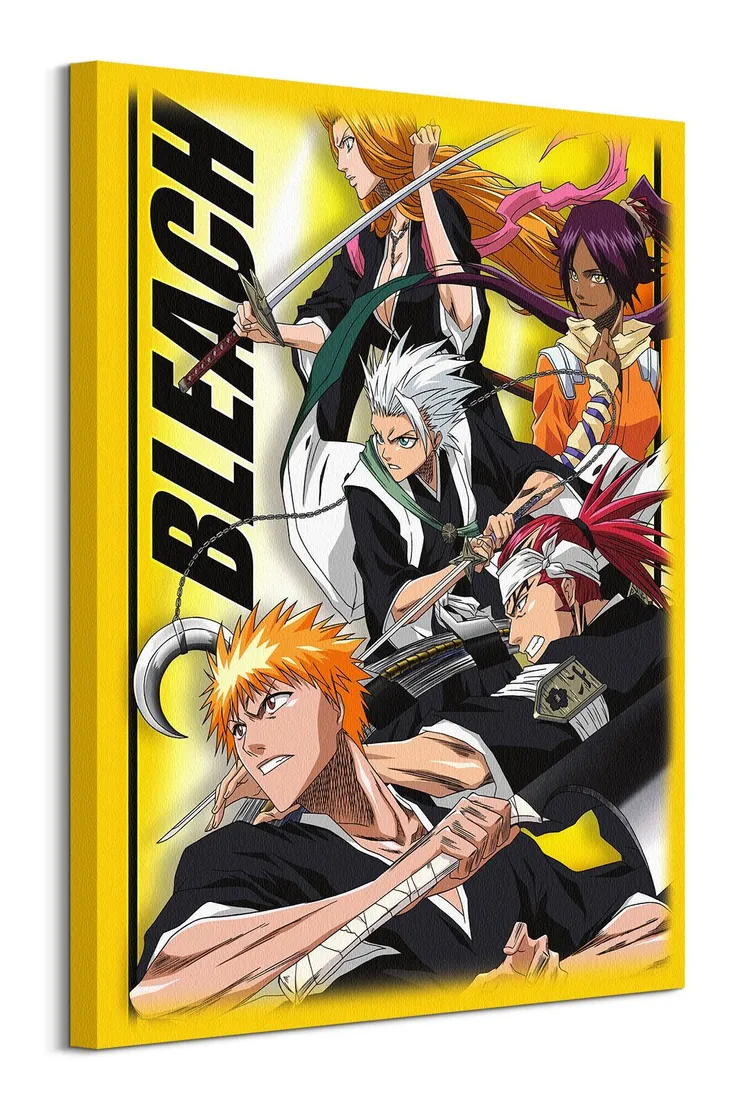 bleach-charge-obraz-na-plotnie-60x80-cm