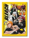 bleach-charge-obraz-na-plotnie-60x80-cm-stan-nowy