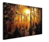 enchanted-obraz-na-plotnie-80x60-cm