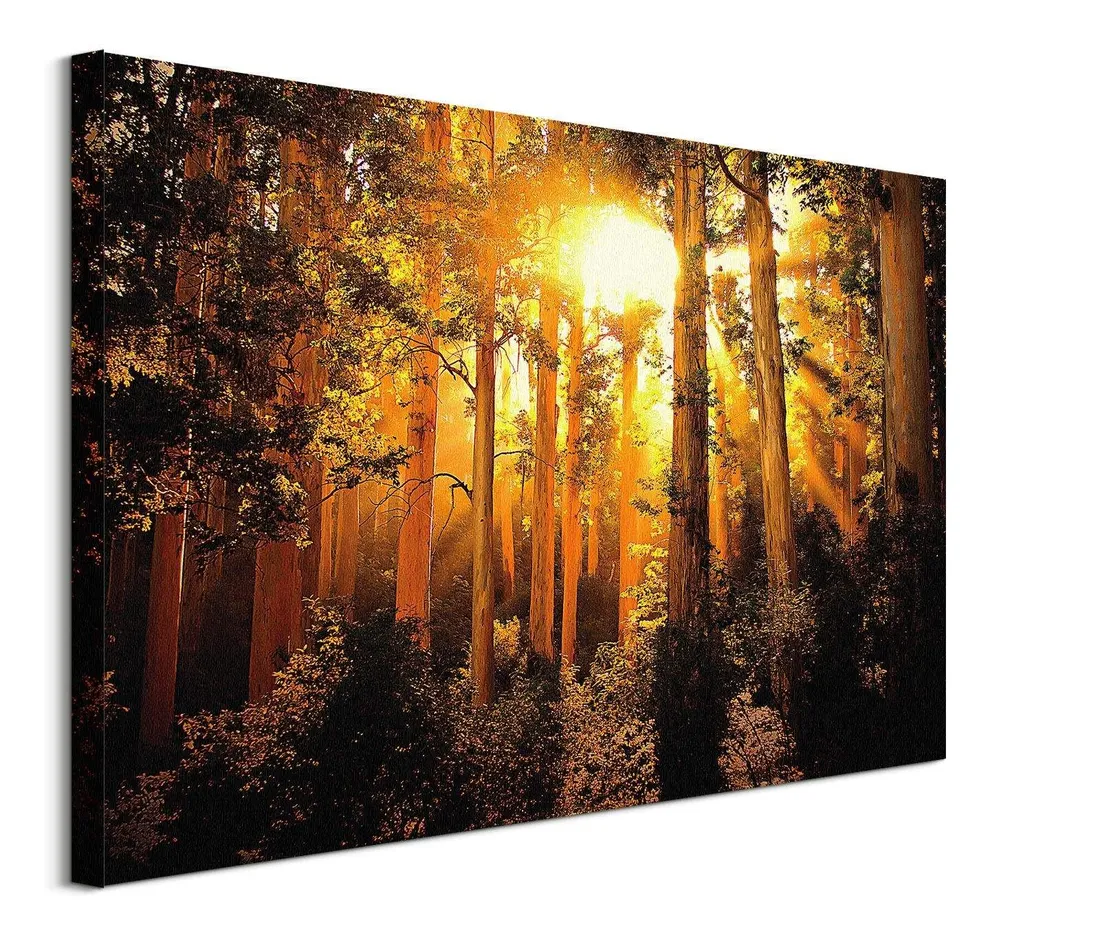 enchanted-obraz-na-plotnie-80x60-cm