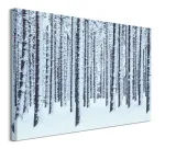 frosted-trees-obraz-na-plotnie-80x60-cm
