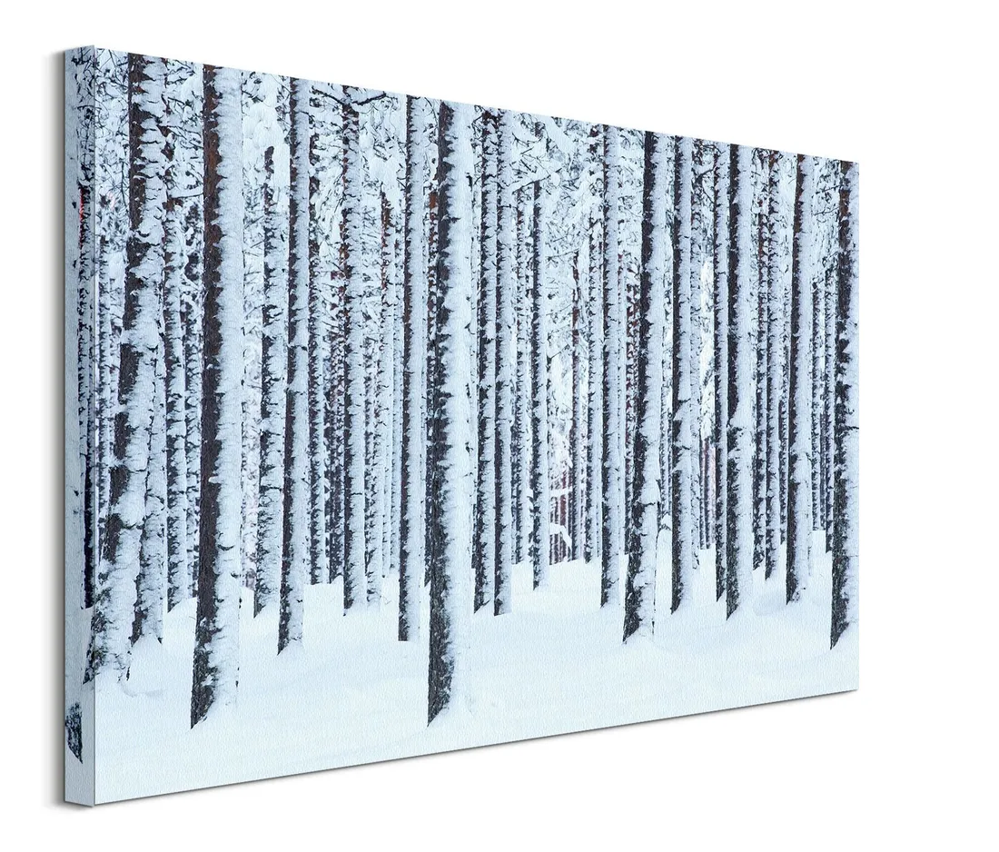 frosted-trees-obraz-na-plotnie-80x60-cm-stan-nowy