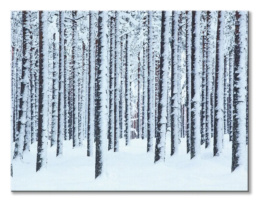 frosted-trees-obraz-na-plotnie-80x60-cm
