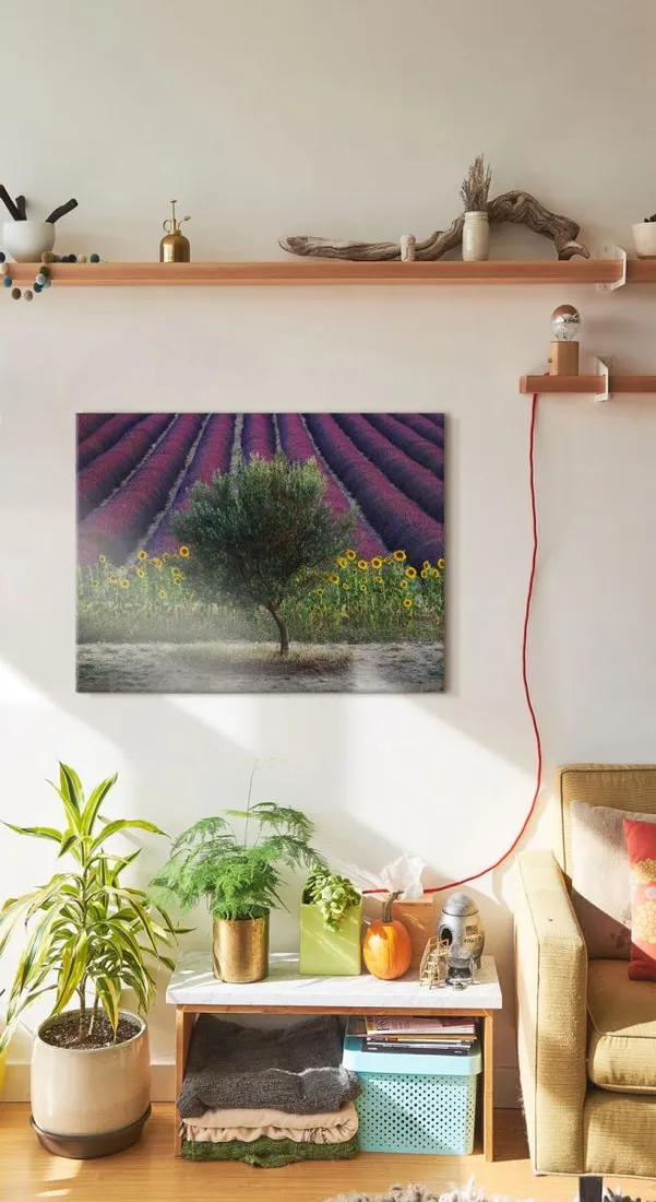 drzewo-oliwne-obraz-na-plotnie-80x60-cm-stan-nowy