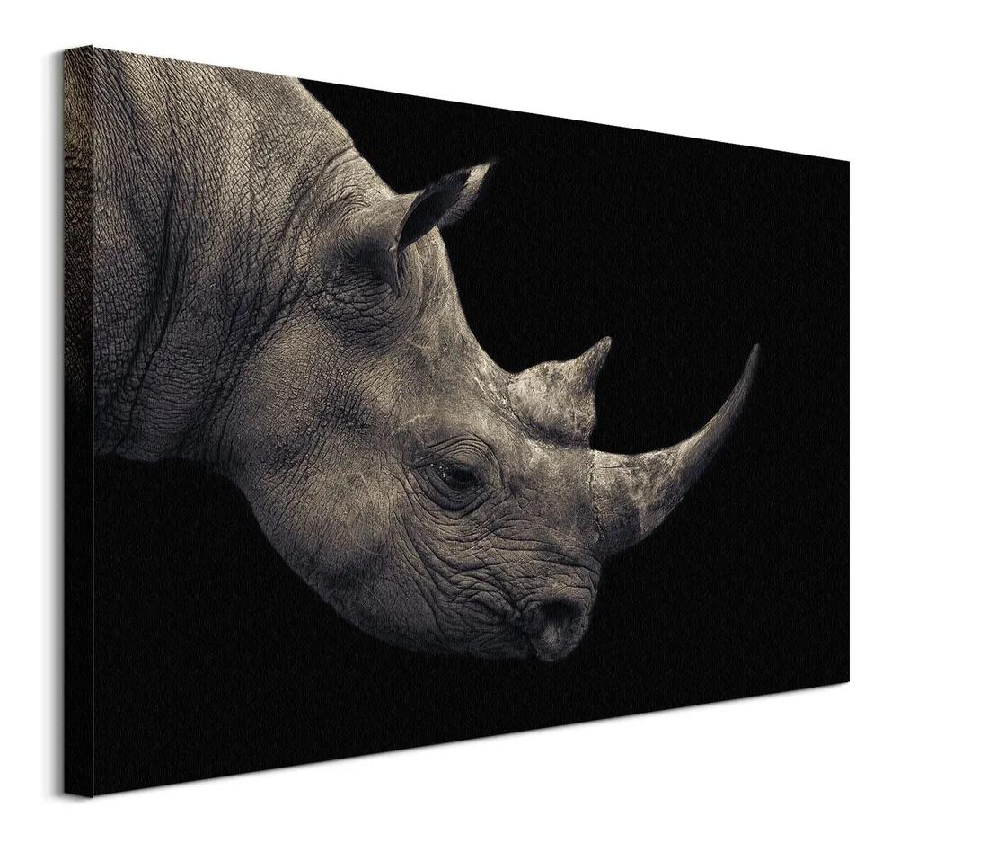 nosorozec-obraz-na-plotnie-80x60-cm-stan-nowy