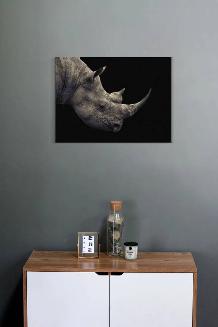nosorozec-obraz-na-plotnie-80x60-cm-stan-nowy