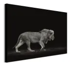 majestic-obraz-na-plotnie-80x60-cm