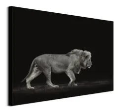 majestic-obraz-na-plotnie-80x60-cm