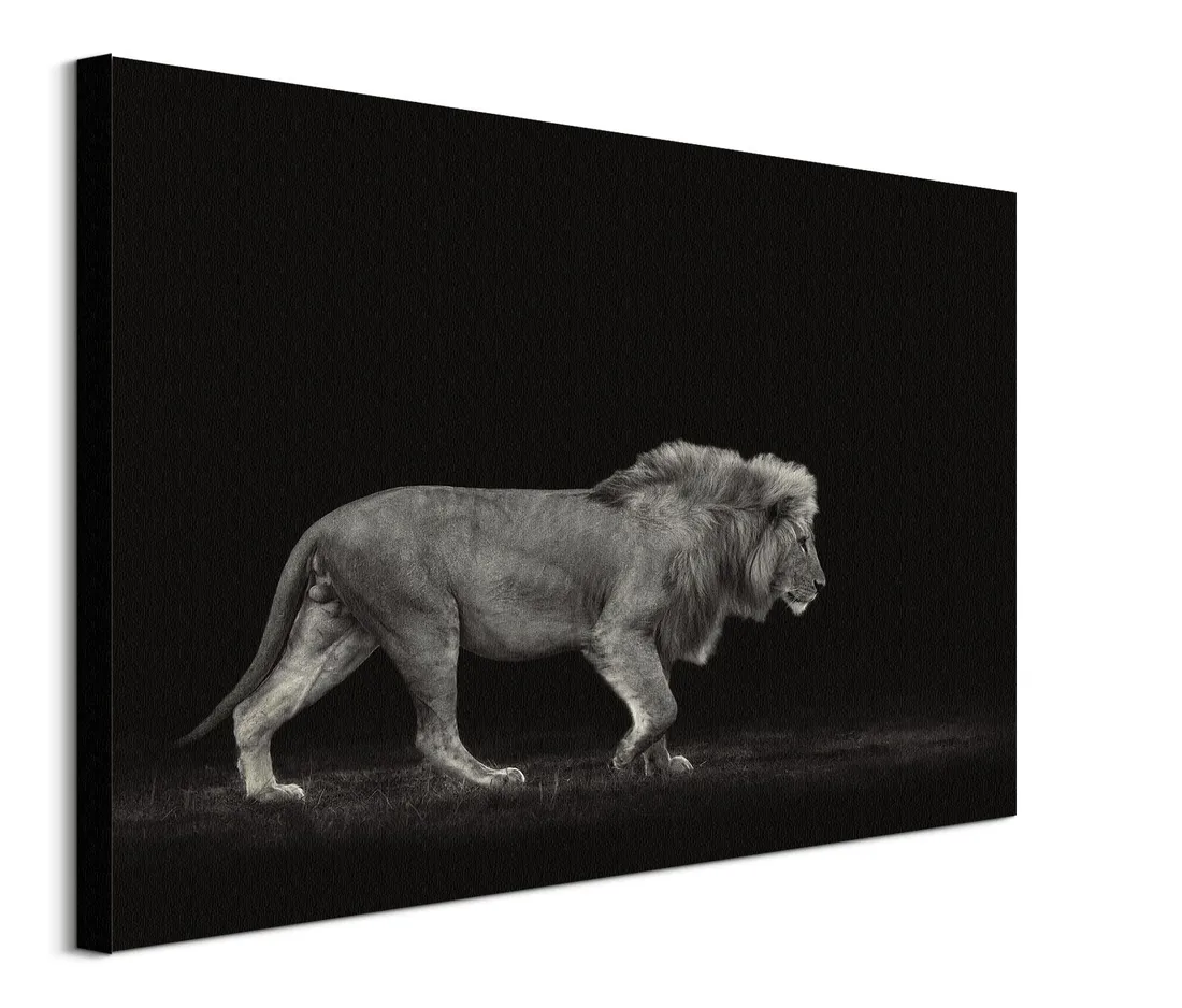 majestic-obraz-na-plotnie-80x60-cm
