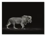 majestic-obraz-na-plotnie-80x60-cm-stan-nowy