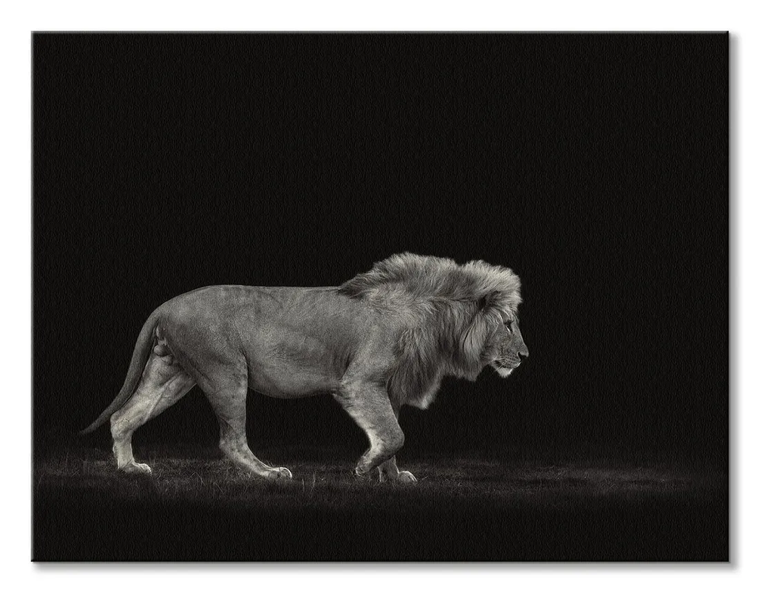 majestic-obraz-na-plotnie-80x60-cm