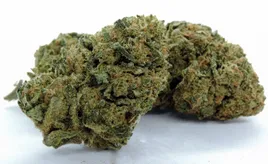 amnesia-haze-2g-6percent-cbd