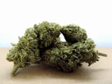 amnesia-haze-2g-6percent-cbd-stan-nowy