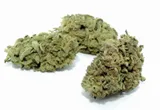 silver-bud-2g-8-92percent-cbd-stan-nowy