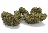 strawberry-kush-2g-4percent-cbd-stan-nowy