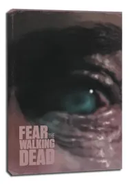 fear-the-walking-dead-obraz-na-plotnie-40x50-cm