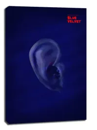 blue-velvet-obraz-na-plotnie-40x60-cm