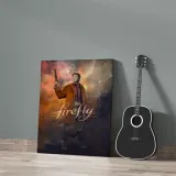 firefly-obraz-na-plotnie-50x70-cm-stan-nowy