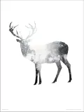 deer-snow-trees-plakat-premium-40x50-cm