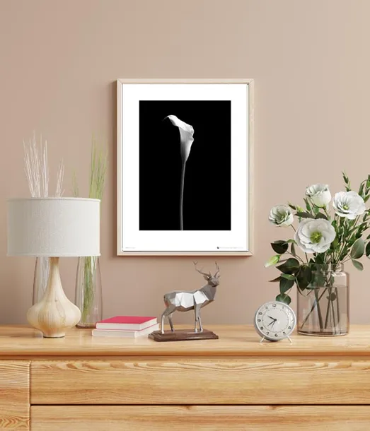 calla-single-plakat-premium-40x50-cm-stan-nowy