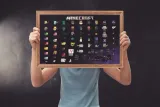 minecraft-pixel-sprites-plakat-915x61-cm-stan-nowy