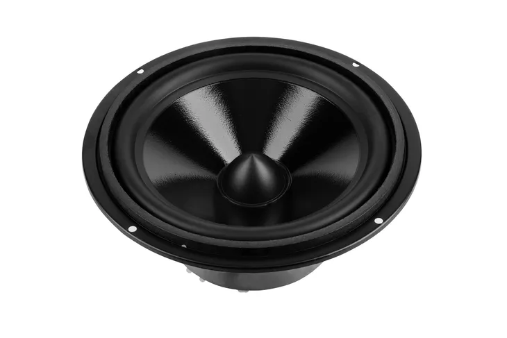 glosnik-8-dbs-c8004-4-ohm