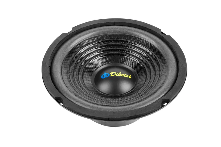 glosnik-65-dbs-g6501-4-ohm
