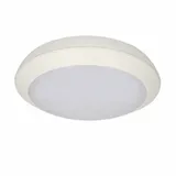 plafon-pasat-led-20w-bialy