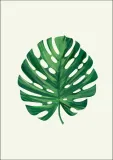 lisc-i-plakat-50x70-cm
