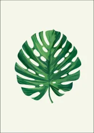 lisc-i-plakat-50x70-cm