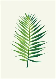 lisc-ii-plakat-50x70-cm