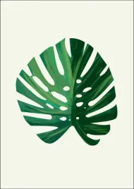 lisc-iv-plakat-50x70-cm