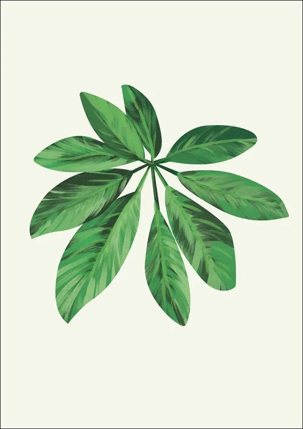 lisc-vii-plakat-40x60-cm