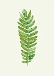 lisc-vii-plakat-20x30-cm