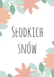 slodkich-snow-plakat-40x50-cm-stan-nowy