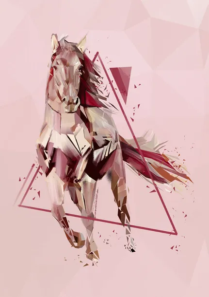 kon-plakat-60x80-cm