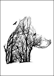 wilk-plakat-50x70-cm