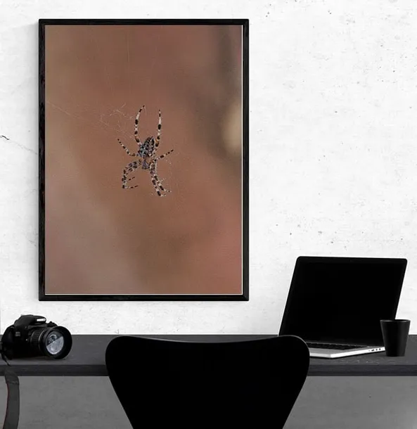 spider-cross-plakat-60x80-cm-stan-nowy