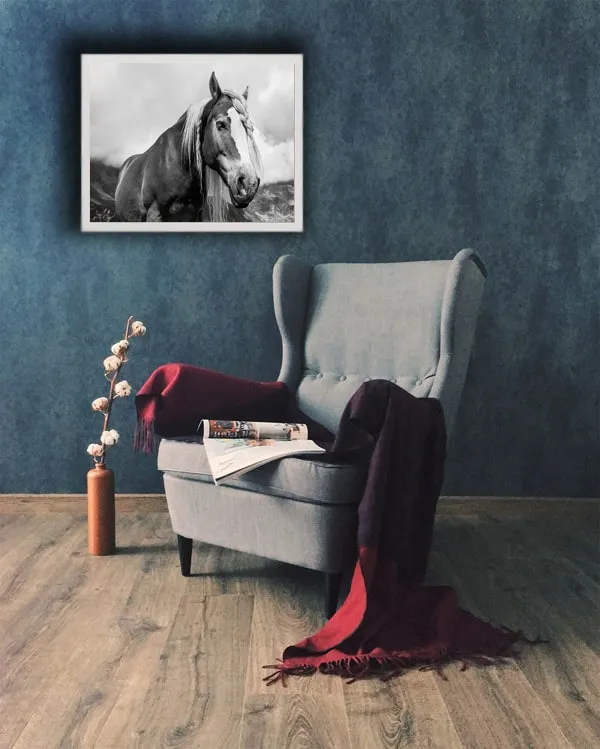 warkocz-plakat-80x60-cm