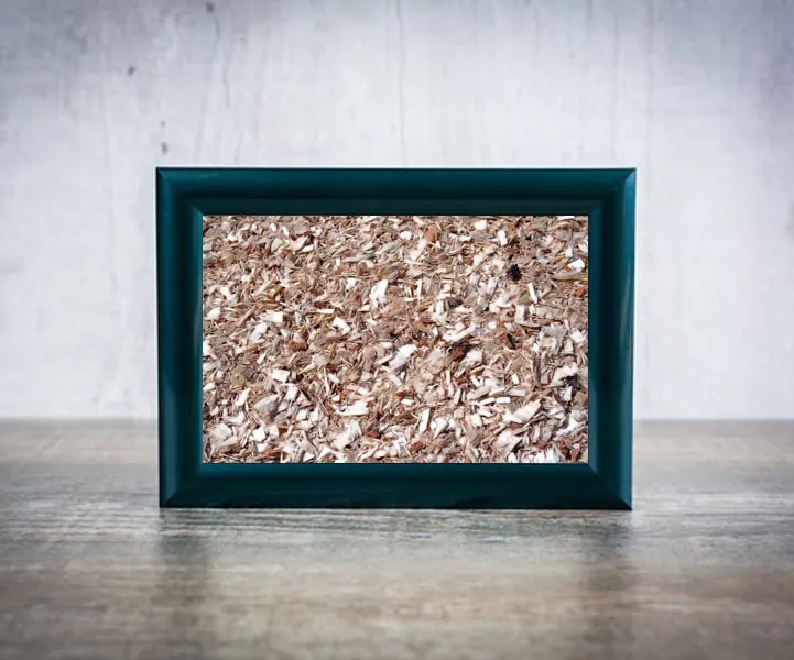 trociny-plakat-40x30-cm