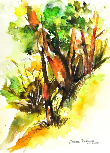 las-akwarela-oryginalna